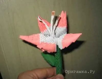 Модульне орігамі лілія майстер клас 1 (модульне орігамі лілія схема збірки) Модульне орігамі лілія майстер клас 1