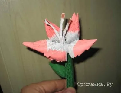 Модульне орігамі лілія майстер клас (майстер) Модульне орігамі лілія майстер клас