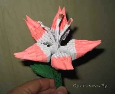 Модульне орігамі лілія майстер клас 1 (модульне) Модульне орігамі лілія майстер клас 1