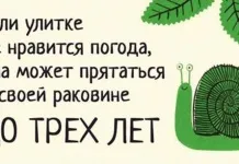 Молитва на місяць грудень допомагає тим, хто вірить (молитва) Молитва на місяць грудень допомагає тим, хто вірить