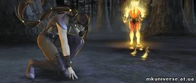 Mortal kombat universe