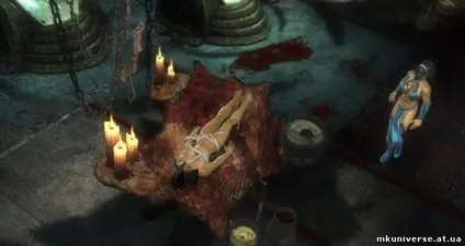 Mortal kombat universe