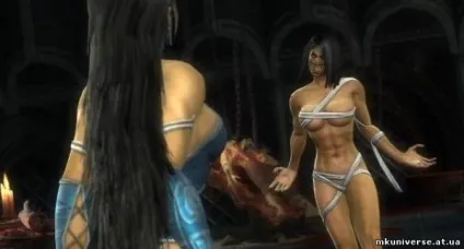 Mortal kombat universe