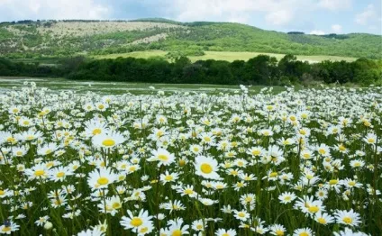 Чи можна будувати будинок на землях сільгосппризначення що можна будувати (будувати) Чи можна будувати будинок на землях сільгосппризначення що можна будувати
