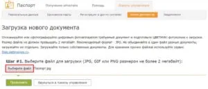 Чи треба вводити паспортні дані в webmoney (вводити) Чи треба вводити паспортні дані в webmoney