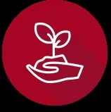 Натяжні стелі в Могильові - з нами це легко (дізнайтеся заощадити натяжному) Натяжні стелі в Могильові - з нами це легко