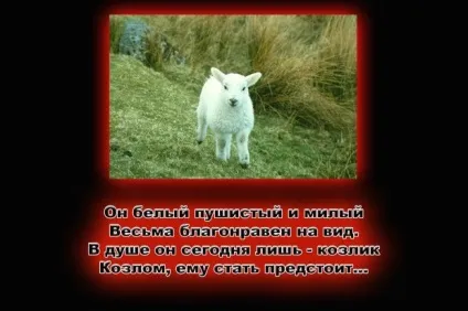 Знайти людину ~ вірші (мир душі) ~ (твір) Знайти людину ~ вірші (мир душі) ~