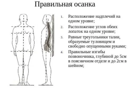 Порушення постави головні причини, види, лікування та профілактика (порушення) Порушення постави головні причини, види, лікування та профілактика