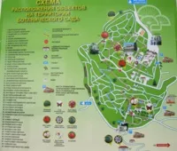 Нікітський ботанічний сад в криму - рослини, квіти, дерева - ціни на квитки