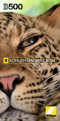 Neff - модельний ряд, новинки, огляди і тести, новини, відгуки, контакти (відгуки neff) Neff - модельний ряд, новинки, огляди і тести, новини, відгуки, контакти