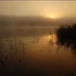 Ніжність світанку, чарівна муза (сенс життя) Ніжність світанку, чарівна муза