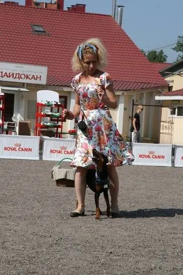 німецький пінчер