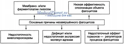 незавершений фагоцитоз