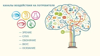 Нейромаркетинг на прикладах методи використання в рекламі і в житті (життя) Нейромаркетинг на прикладах методи використання в рекламі і в житті