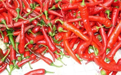 Не просто прянощі або 23 приправи, корисні для здоров'я - ліга кулінарів, блог Тамари горик (обмін речовин допомагає) Не просто прянощі або 23 приправи, корисні для здоров'я - ліга кулінарів, блог Тамари горик