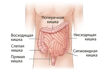 німіють руки
