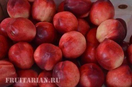 Нектарин - яблучний і сливовий