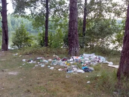 Не можна смітити