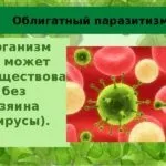 Облігатні і факультативні паразити відміну та приклади у людини (приклади) Облігатні і факультативні паразити відміну та приклади у людини