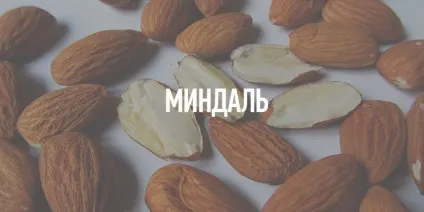 Нічної обжерливості що можна і корисно їсти після півночі (можна з'їсти перед) Нічної обжерливості що можна і корисно їсти після півночі