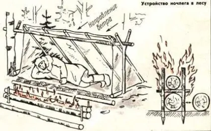 Ночівля в зимовому лісі, секрети виживання в агресивному середовищі (лісі) Ночівля в зимовому лісі, секрети виживання в агресивному середовищі