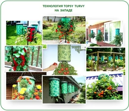 Нова технологія topsy turvy в теплиці вирощуємо вгору корінням! (Turvy) Нова технологія topsy turvy в теплиці вирощуємо вгору корінням!