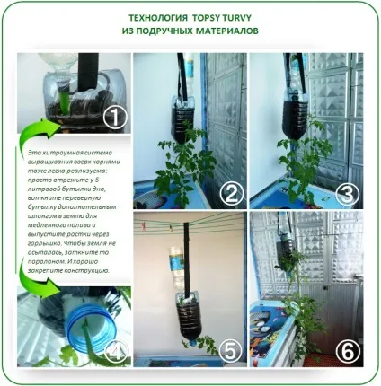Нова технологія topsy turvy в теплиці вирощуємо вгору корінням! (Нова технологія topsy turvy в теплиці вирощуємо вгору корінням) Нова технологія topsy turvy в теплиці вирощуємо вгору корінням!