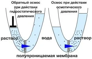 Очищення зворотним осмосом - системи для акваріума, схема, робота, підключення (схема) Очищення зворотним осмосом - системи для акваріума, схема, робота, підключення