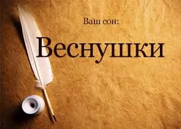 Сонник веснянки на обличчі своєму чужому бачити уві сні до чого сняться (веснянки) Сонник веснянки на обличчі своєму чужому бачити уві сні до чого сняться