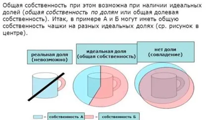Спільна і часткова власність різниця і важливі нюанси (власність) Спільна і часткова власність різниця і важливі нюанси