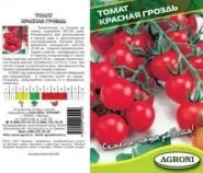 Огірок - Вязниковский 37