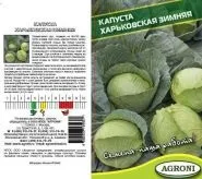 Огірок - Вязниковский 37
