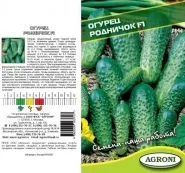 Огірок - Вязниковский 37