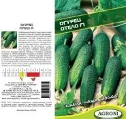 Огірок - Вязниковский 37