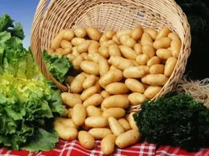 Про картоплю для дітей