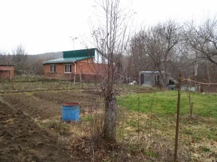 Омолоджуюча обрізка плодових дерев, фотозвіт, садимо сад (крони один прийом) Омолоджуюча обрізка плодових дерев, фотозвіт, садимо сад