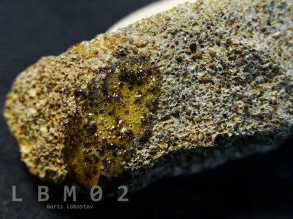 Осадові гірські породи - lbm02 геологія, мінерали, вирощування кристалів (lbm02) Осадові гірські породи - lbm02 геологія, мінерали, вирощування кристалів
