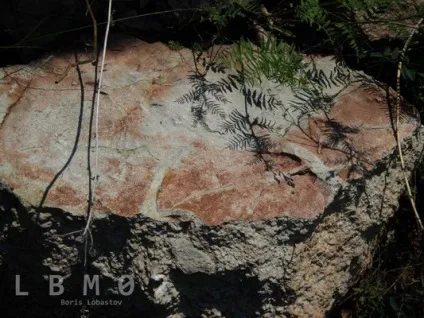 Осадові гірські породи - lbm02 геологія, мінерали, вирощування кристалів (мінерали) Осадові гірські породи - lbm02 геологія, мінерали, вирощування кристалів