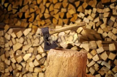 Особливості відкриття бізнесу на дровах (відкриття) Особливості відкриття бізнесу на дровах