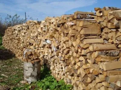 Особливості відкриття бізнесу на дровах (бізнесу) Особливості відкриття бізнесу на дровах