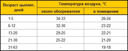 Особливості годування курчат бройлерів - своя ферма (курчат) Особливості годування курчат бройлерів - своя ферма