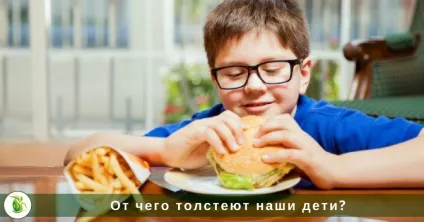 Від чого товстіють наші діти, людмила львівська - сам собі дієтолог (діти) Від чого товстіють наші діти, людмила львівська - сам собі дієтолог