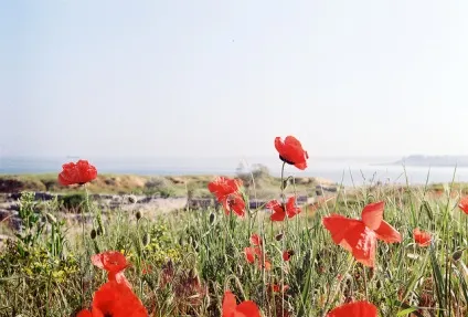 Відпочинок в травнем 2017 вУкаіни куди поїхати (відпочинок) Відпочинок в травнем 2017 вУкаіни куди поїхати