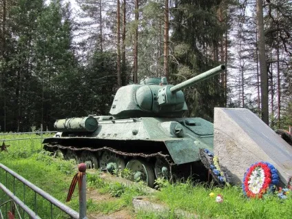 Звіт про поїздку на машині в Карелію, поїздка в Карелію (Карелію) Звіт про поїздку на машині в Карелію, поїздка в Карелію