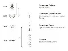 Від раку крові