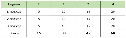 Віджимання на брусах які м'язи працюють, програма тренувань, техніка (які) Віджимання на брусах які м'язи працюють, програма тренувань, техніка