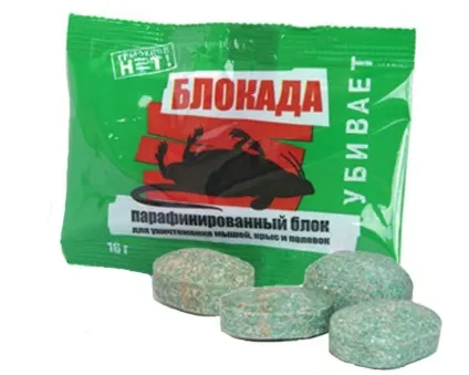 Отрута для мишей в домашніх умовах (умовах) Отрута для мишей в домашніх умовах