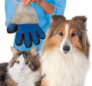 Рукавичка для зняття вовни з тварин pet brush glove (true touch), мій огляд (brush) Рукавичка для зняття вовни з тварин pet brush glove (true touch), мій огляд