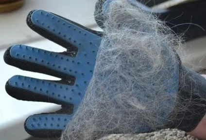 Рукавичка для зняття вовни з тварин pet brush glove (true touch), мій огляд (рукавичка для зняття вовни з тварин pet brush glove (true touch)) Рукавичка для зняття вовни з тварин pet brush glove (true touch), мій огляд