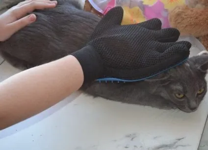 Рукавичка для зняття вовни з тварин pet brush glove (true touch), мій огляд (рукавичка для вичісування тварин) Рукавичка для зняття вовни з тварин pet brush glove (true touch), мій огляд